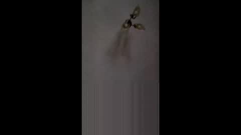 fucktoy972955 online show from 02-26-26, 03:16