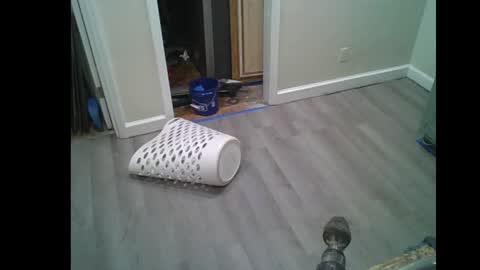 Snapshot of fuckwithmeonetime01 chatting on 02-16-26, 10:33 fuckwithmeonetime01 online show from 02-16-26, 10:33