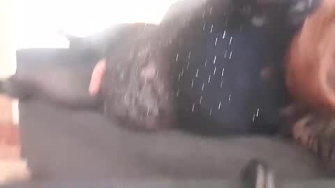 Snapshot of full4cefull chatting on 12-29-24, 02:17 Pizzaz online show from 12-29-24, 02:17