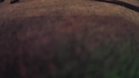 Snapshot of fumymo chatting on 01-07-26, 08:22 fumymo online show from 01-07-26, 08:22