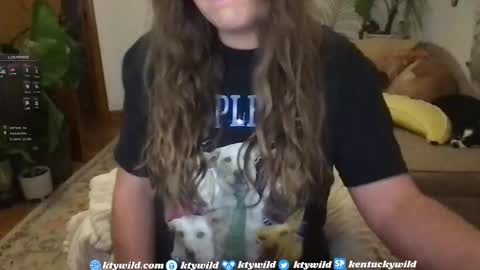   Thank you for visiting I hope you had fun 3 online show from 01-07-25, 11:14