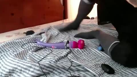 Funcock online show from 12-14-24, 11:50