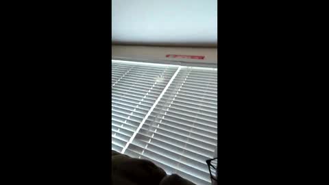 funk_doc_666 online show from 05-13-26, 07:55