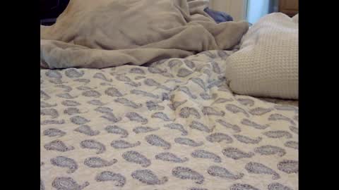 Funtimz16 online show from 03-09-25, 08:07