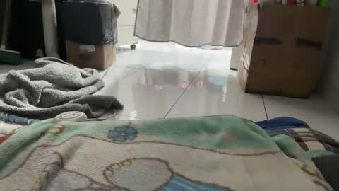 gab021593 online show from 01-16-26, 03:38