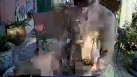 Snapshot of galleguin1 chatting on 06-13-26, 06:39 galleguin1 online show from 06-13-26, 06:39
