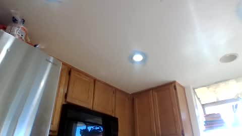 gangdrewski online show from 03-08-26, 03:27