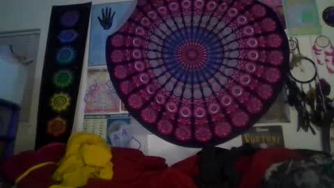 Gardenia online show from 02-05-26, 08:08