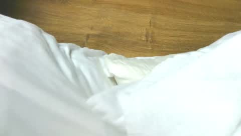 Rose online show from 02-07-26, 08:29