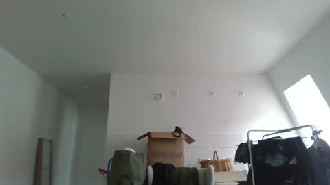 Garfield online show from 03-21-26, 09:47