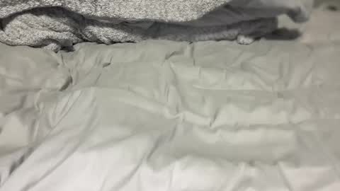 G online show from 04-27-26, 03:04