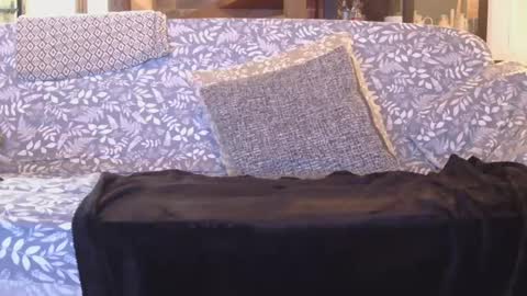 Gaz online show from 01-01-25, 08:47