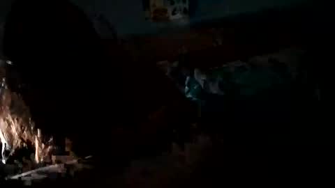 Daddy Gator online show from 02-27-25, 07:55