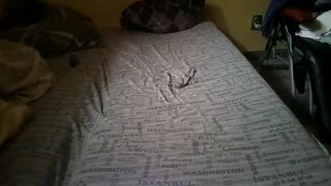 gazdadjoka online show from 02-14-25, 02:23