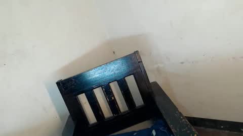 gelo online show from 04-03-26, 12:36