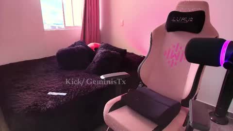 Snapshot of geminis11 chatting on 11-22-25, 09:47 geminis11 online show from 11-22-25, 09:47