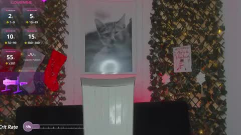 Geminis online show from 01-21-25, 06:54