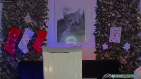 Geminis online show from 02-26-25, 04:14