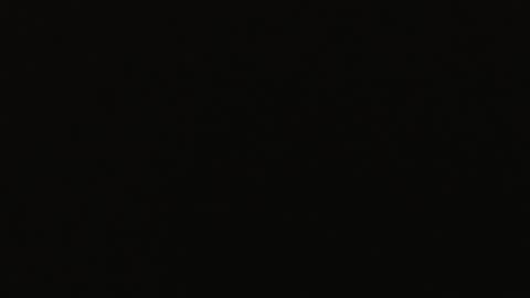 genitalwars online show from 12-22-25, 11:40