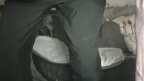 Geon online show from 02-01-26, 11:14