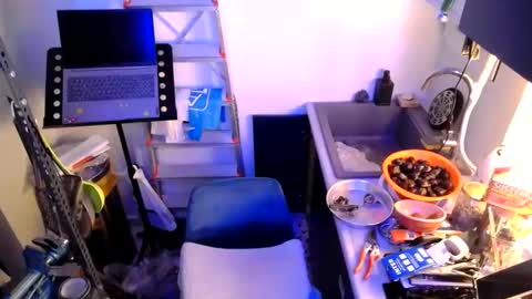 Snapshot of georgempt chatting on 01-12-25, 07:42 georgempt online show from 01-12-25, 07:42