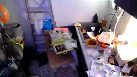 Snapshot of georgempt chatting on 01-18-25, 09:24 georgempt online show from 01-18-25, 09:24