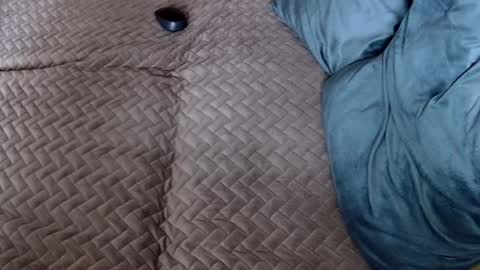 Melissa online show from 11-30-25, 10:19