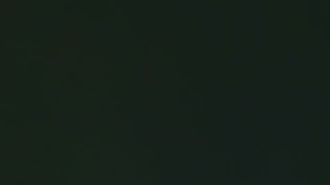 Georgina online show from 02-03-26, 03:06