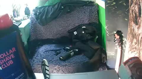 getfucked321jake online show from 01-16-25, 12:31