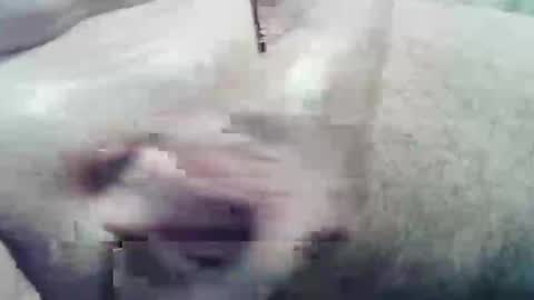 ghost1805 online show from 12-10-24, 02:05