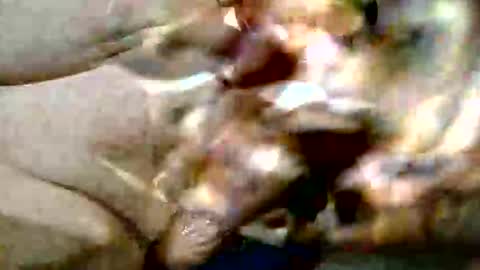 ghost1805 online show from 10-29-25, 09:16