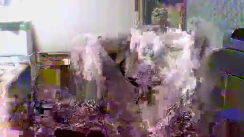 giann005 online show from 03-24-26, 03:28