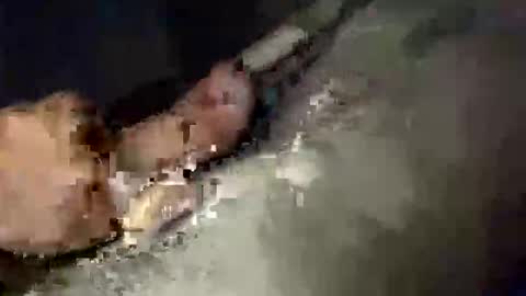 Snapshot of gifted2472 chatting on 10-12-25, 05:06 gifted2472 online show from 10-12-25, 05:06