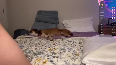 gigi online show from 02-05-25, 01:58