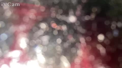 GingerNinja online show from 01-12-25, 10:33