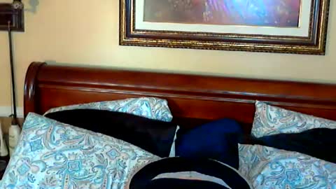 Ginny Rose online show from 05-15-26, 09:33