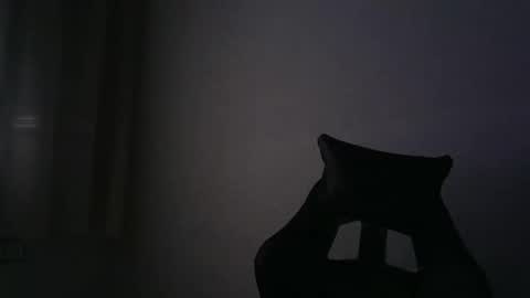 Snapshot of gioshadow chatting on 09-29-25, 11:48 gioshadow online show from 09-29-25, 11:48