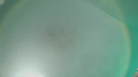 Nikka Gadavida online show from 02-25-25, 01:52