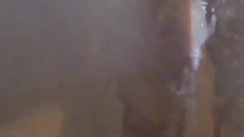 lovegirlscallme online show from 03-07-26, 10:40