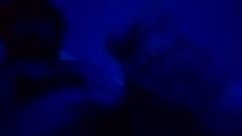 elen06 online show from 12-15-25, 09:08