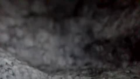 Snapshot of givr6inches chatting on 12-07-24, 11:51 e-Bizl online show from 12-07-24, 11:51