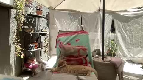 Gl1tter Barbie online show from 11-22-25, 08:57