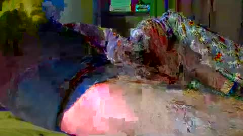 guybuzz online show from 12-18-24, 05:10