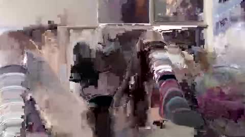 black  white online show from 03-24-26, 12:59