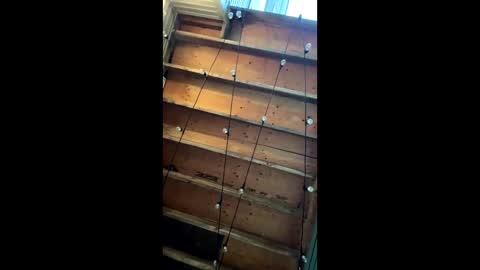 gnarcoticscrew online show from 06-05-26, 02:40