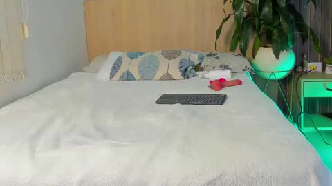 DIOSA online show from 04-29-26, 11:47