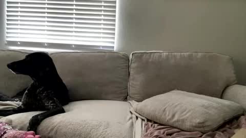 Snapshot of goddessmayvn chatting on 05-04-26, 03:41 GoddessMayvn online show from 05-04-26, 03:41