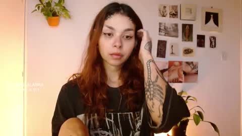 Snapshot of golden_alaska chatting on 10-29-25, 11:56 Alaska online show from 10-29-25, 11:56