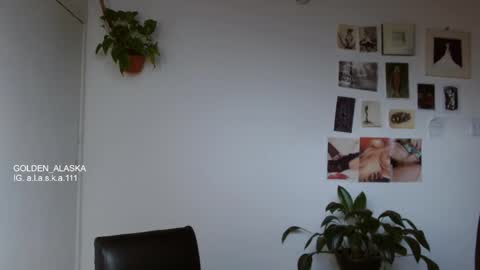 Snapshot of golden_alaska chatting on 11-09-25, 08:07 Alaska online show from 11-09-25, 08:07