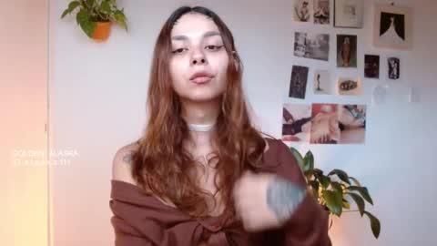 Snapshot of golden_alaska chatting on 11-11-25, 11:54 Alaska online show from 11-11-25, 11:54